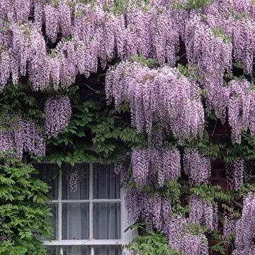 Людмила  Кичигина _  Ангел - Online. (Музыкальная группа..)⭐⭐⭐⭐⭐