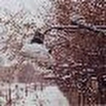 Дмитрий Губин