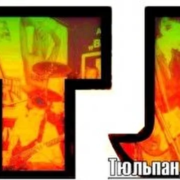ТюльпанДжек