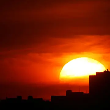 Михаил Левин