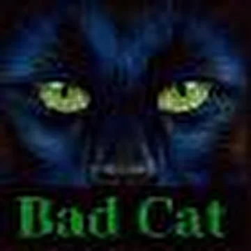 Bad Cat