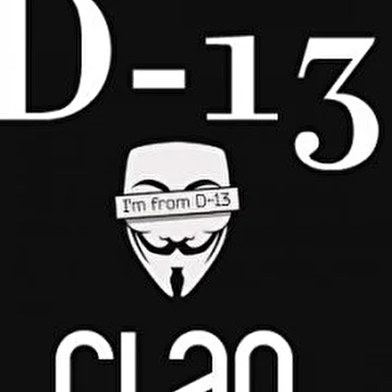 D-13