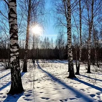 Алина Белочка