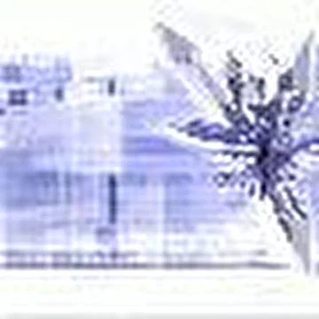 NEGATIVE PROJECT