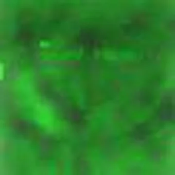 hallucinations for two
