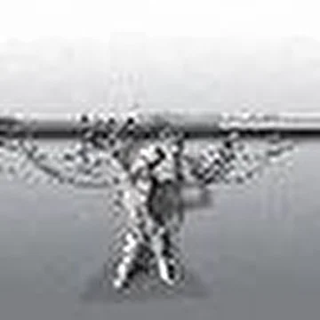 NEGATIVE PROJECT