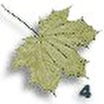 Станислафф