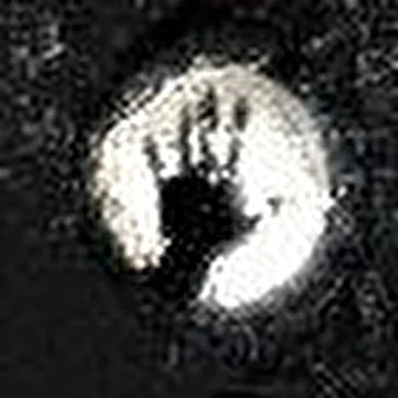 The BerserK