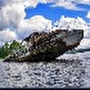 Фабрика Переделок