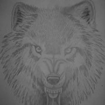 WereWolfer'S