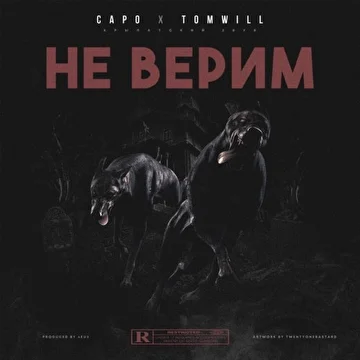 Capo x TomWill