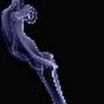 rhesus_negatory
