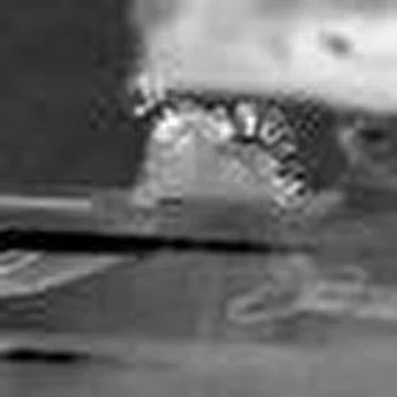 Neophonic