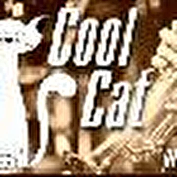 Cool Cat project