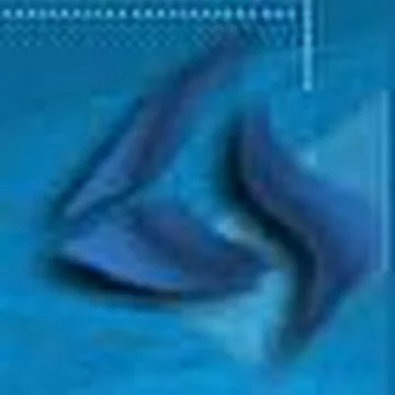 Иные