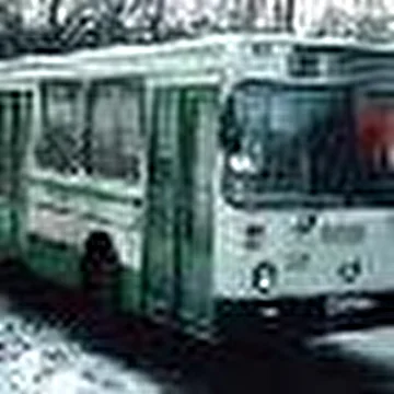 Коалиция АБФ