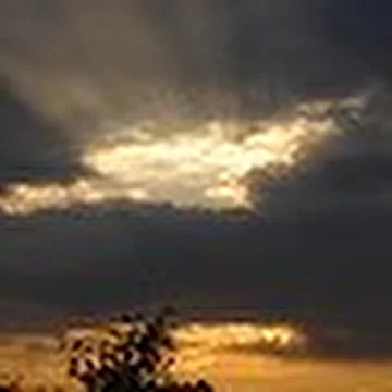Группа Односторонних Жестов