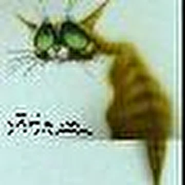 Чем всё кончится