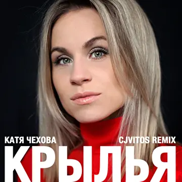 Музыкальная критика