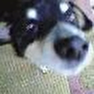 intermundia
