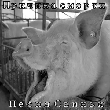 Причина Смерти