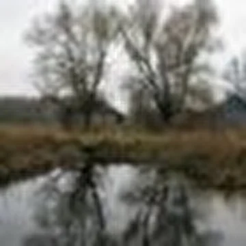 Александр Иванихин
