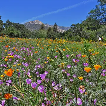 Студия Владимира Приорова