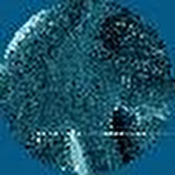ksandr project