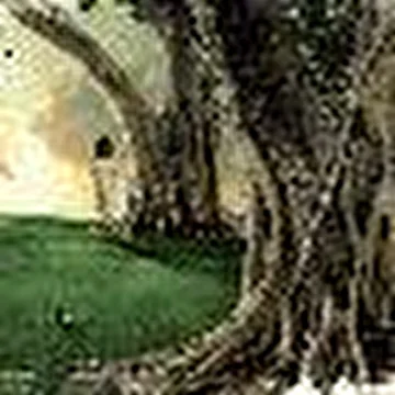 Отшельник Бертран