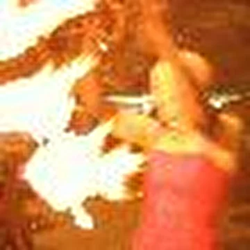 Электрическое одеяло