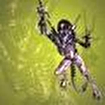 DJ Crasher