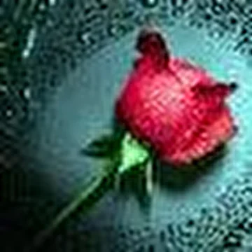 Виктор Поздняков
