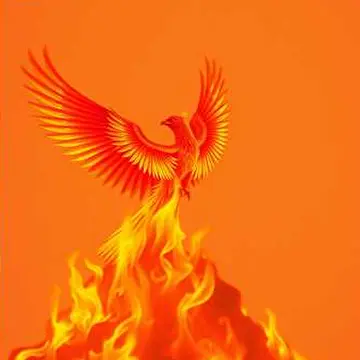 Студия Владимира Приорова