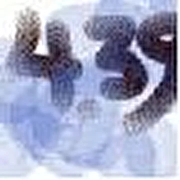 Shultz_CR