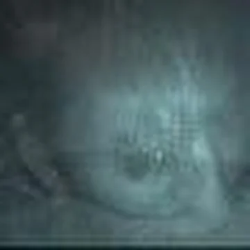 4.44
