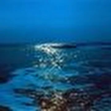 Александр Шевкун