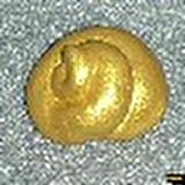 ПЛОХАЯ ПРИМЕТА
