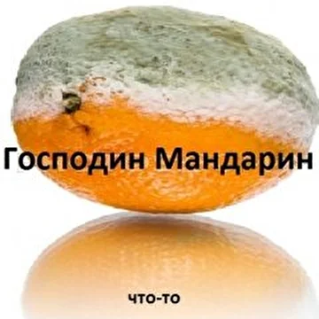 Gospodin Mandarin