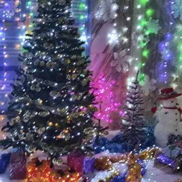 Евгений Романенко