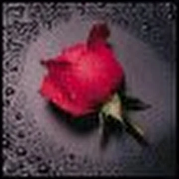 Cool Style - freestyle music for you!