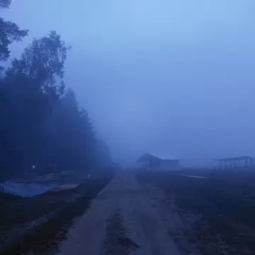 Тимофей Малышев