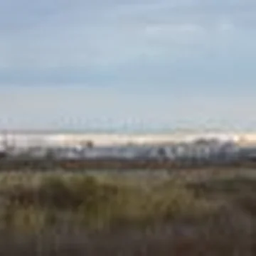 Morpex