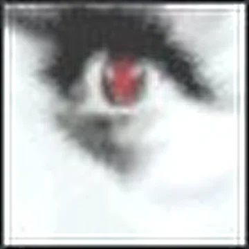Elettaria