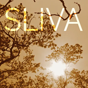 Sliva