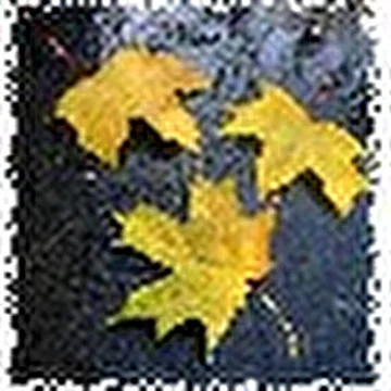 Лига Грани