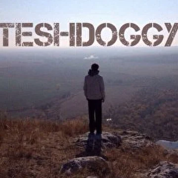 TeshDoggy work