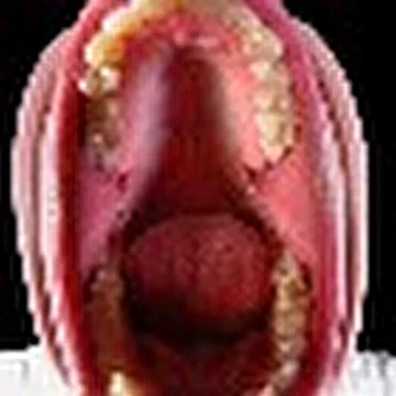 Rogoban