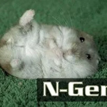 N-Gen