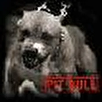 $13-й Клан$