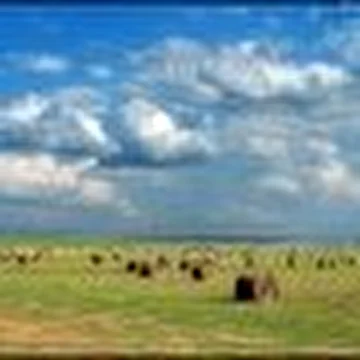 Анатоха